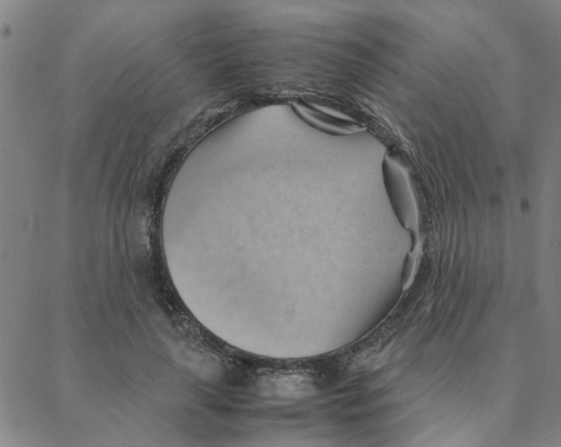 X0000088370643200706191244