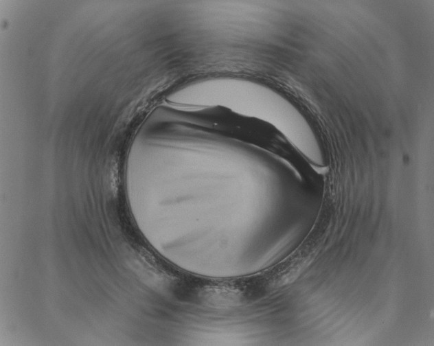 X0000088370644200706191244
