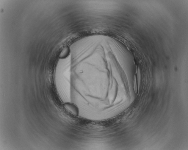 X0000088370648200706191244