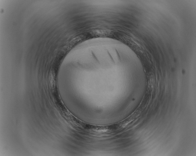 X0000088370651200706191244