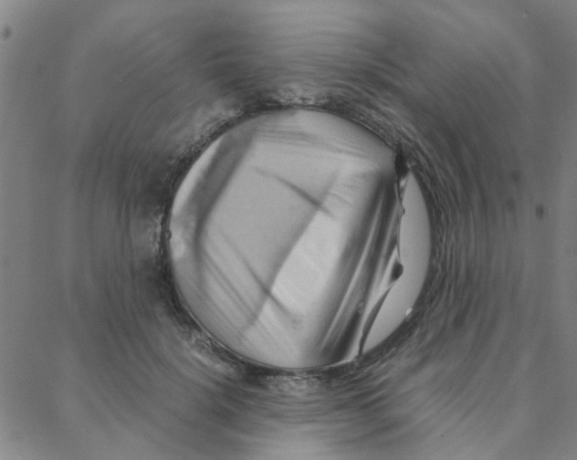 X0000088370652200706191244