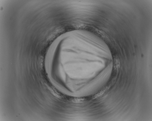 X0000088370664200706191244