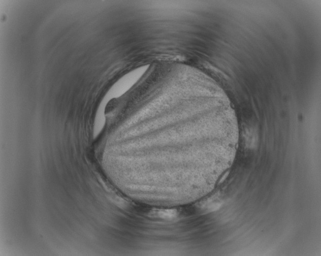 X0000088370665200706191244