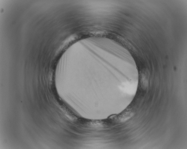 X0000088370668200706191244