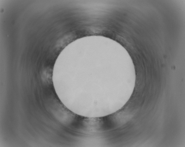 X0000088370672200706191244