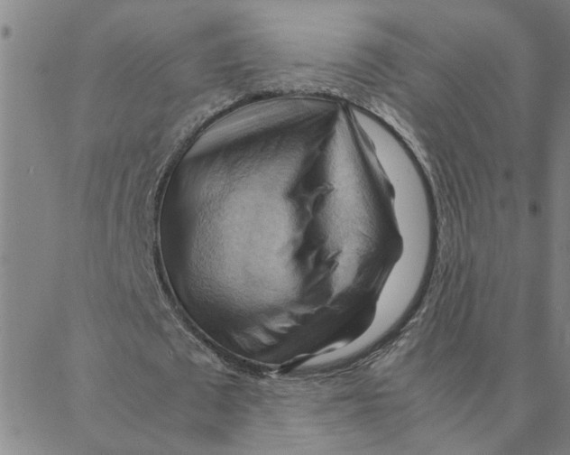 X0000088370673200706191244