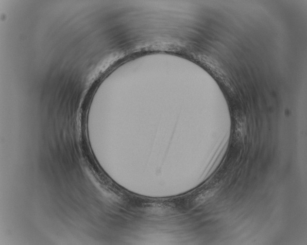 X0000088370678200706191244