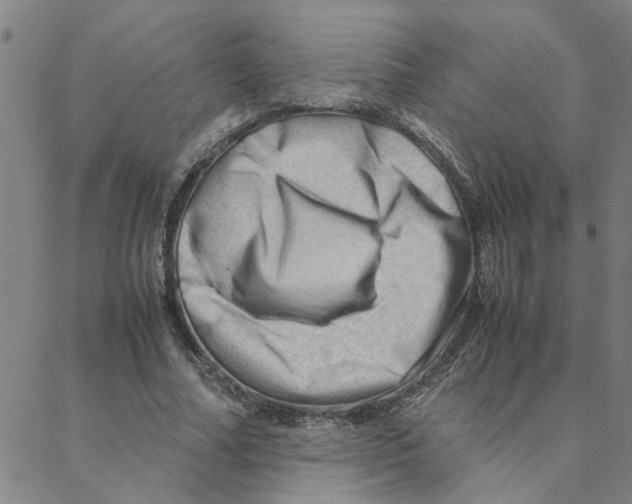 X0000088370682200706191244