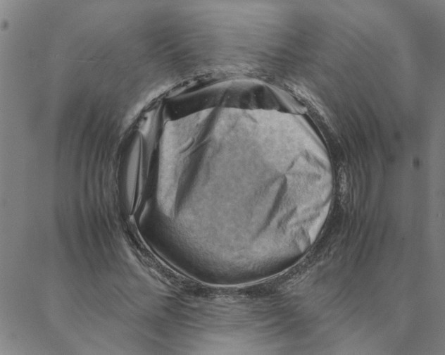 X0000088370684200706191243