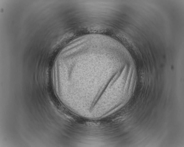 X0000088370690200706191243
