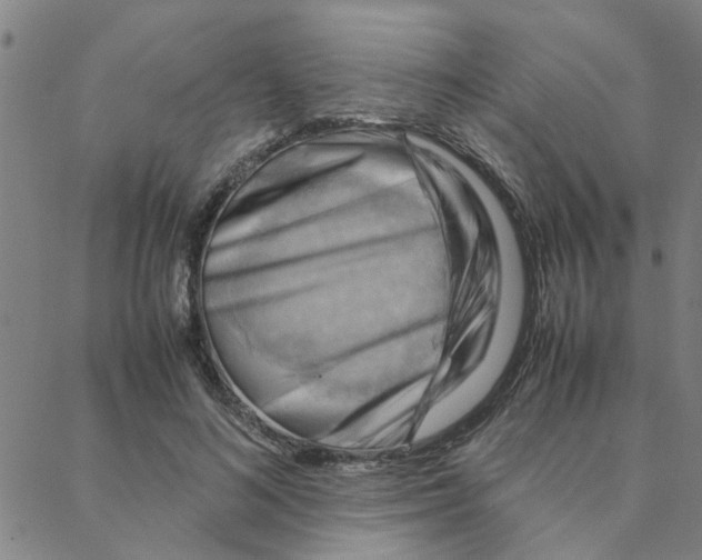 X0000088370692200706191243
