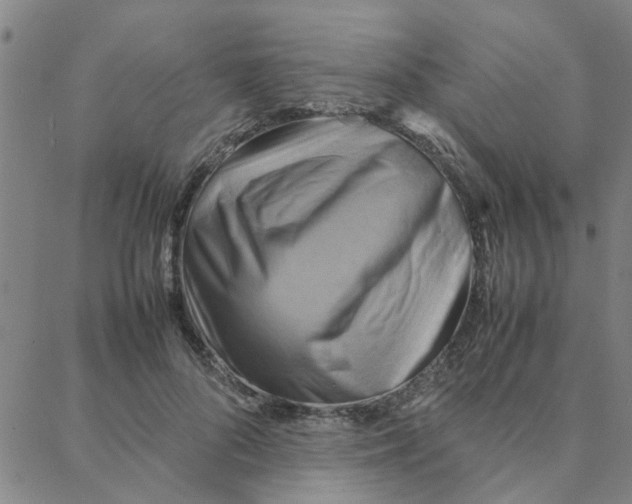 X0000088370696200706191243
