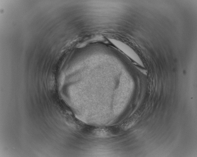 X0000088370704200706191243