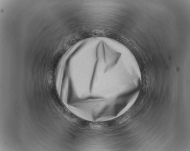 X0000088370706200706191243