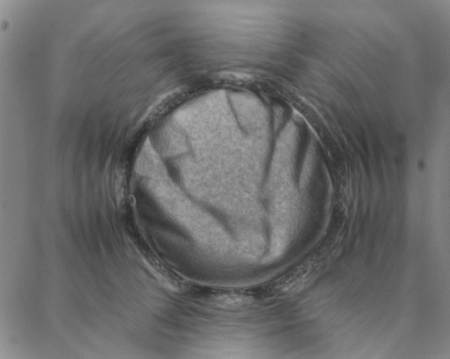 X0000088370708200706191243