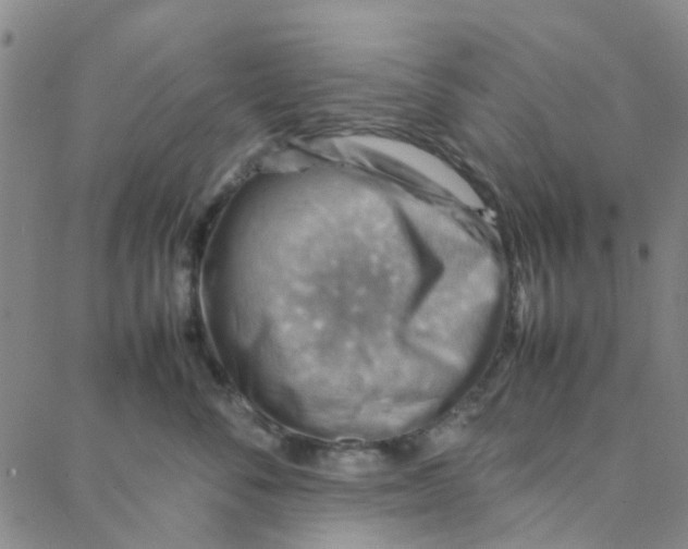 X0000088370716200706191243