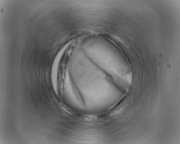 X0000088370720200706191243