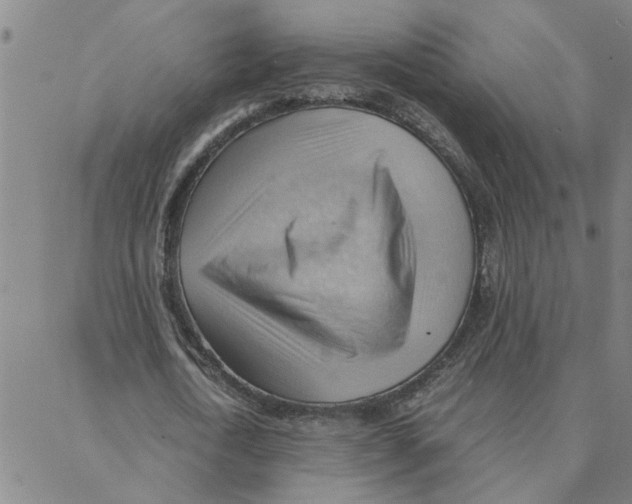 X0000088370722200706191242