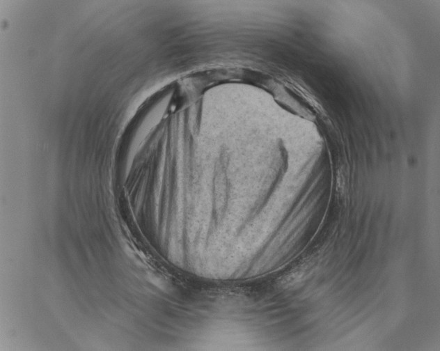 X0000088370724200706191242