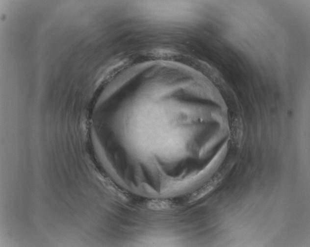 X0000088370762200706191243