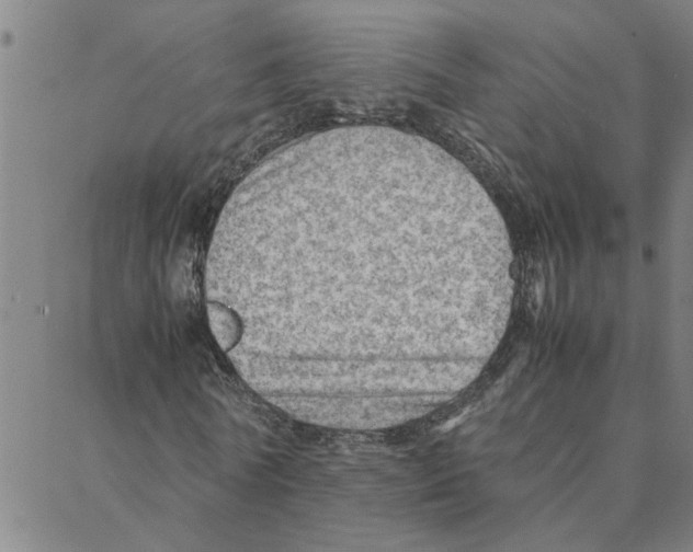 X0000088370770200706191242