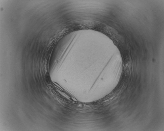 X0000088370772200706191242