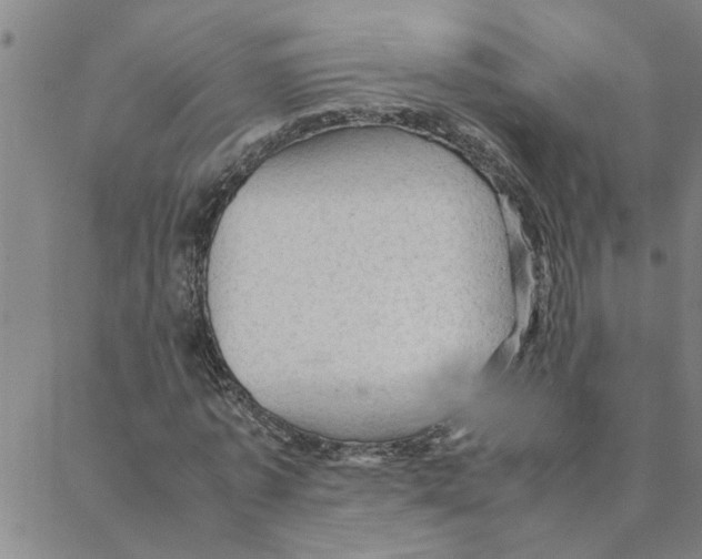 X0000088370773200706191242