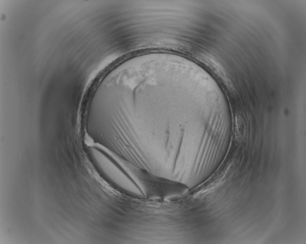 X0000088370780200706191242