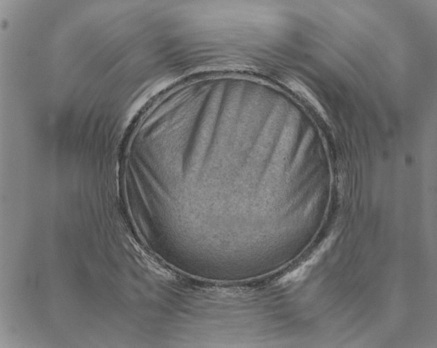 X0000088370781200706191242