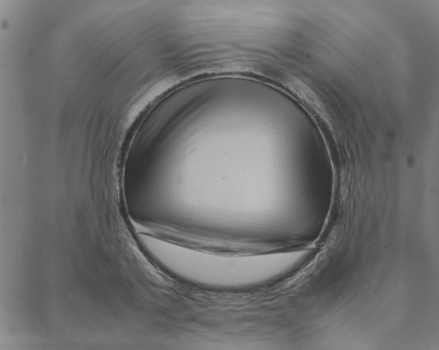 X0000088370789200706191242