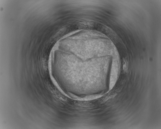 X0000088370819200706191241