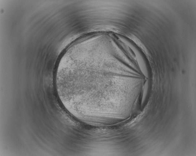 X0000088370834200706191241