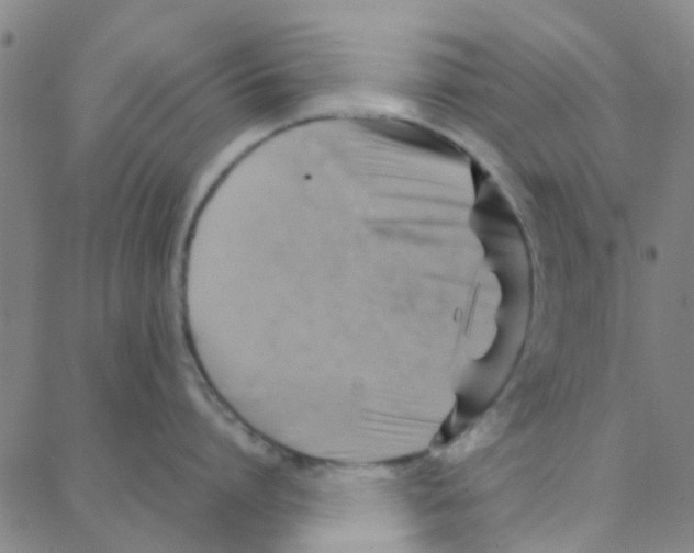 X0000088370864200706191241