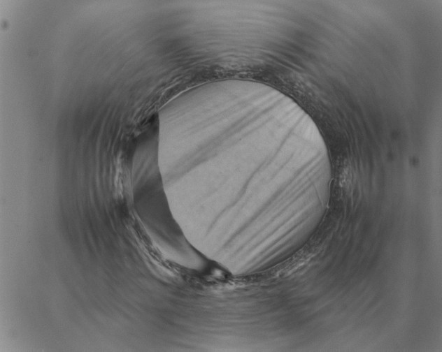 X0000088370868200706191241