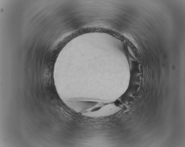 X0000088370872200706191240