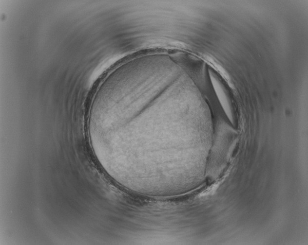 X0000088370877200706191240