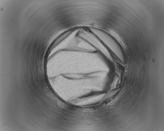 X0000088370884200706191240