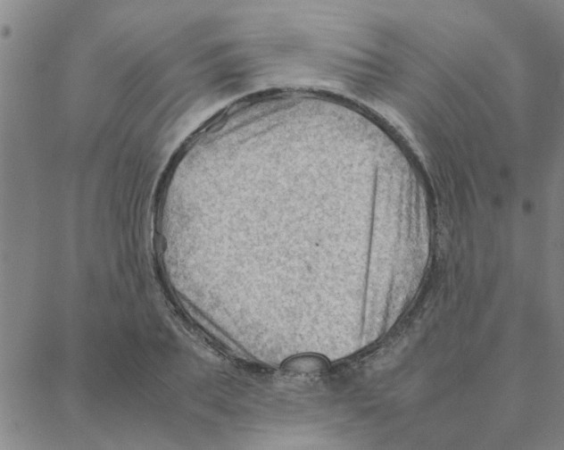 X0000088370887200706191240