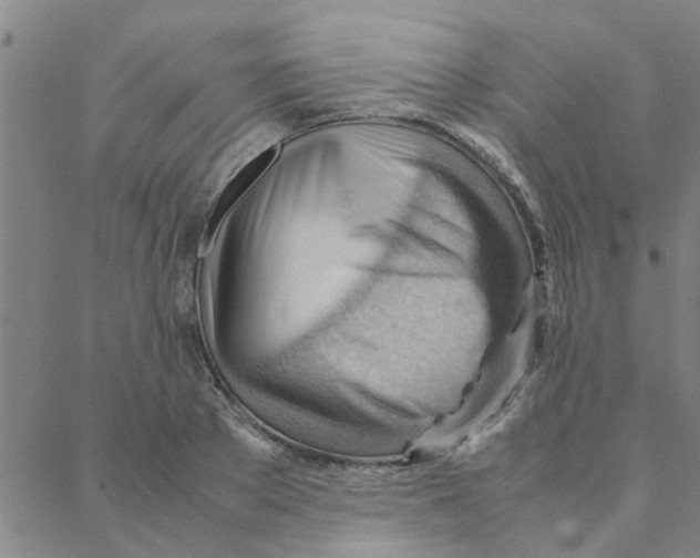 X0000088370889200706191240
