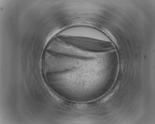 X0000088370893200706191240