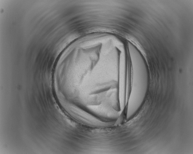 X0000088370898200706191240