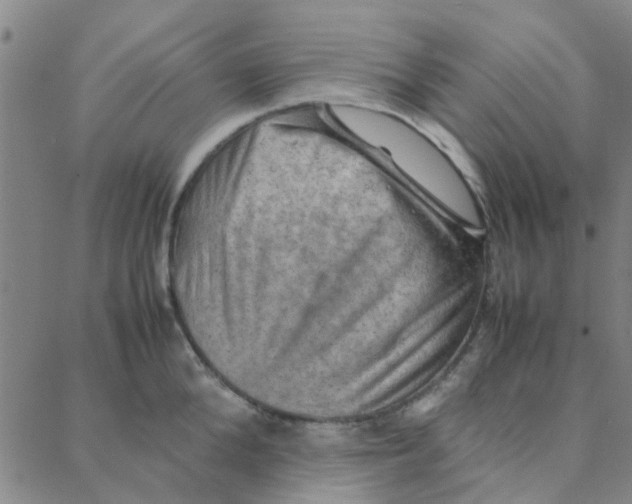X0000088370904200706191240