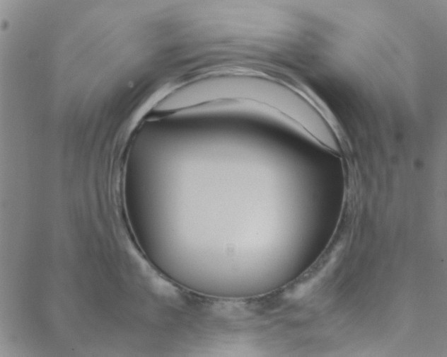 X0000088370909200706191240