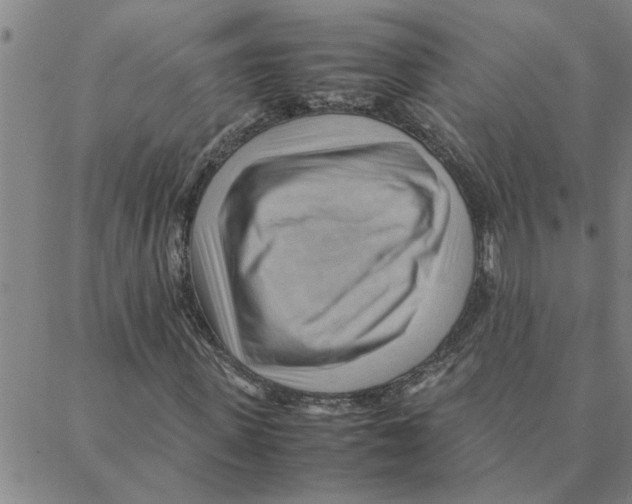 X0000088370915200706191239