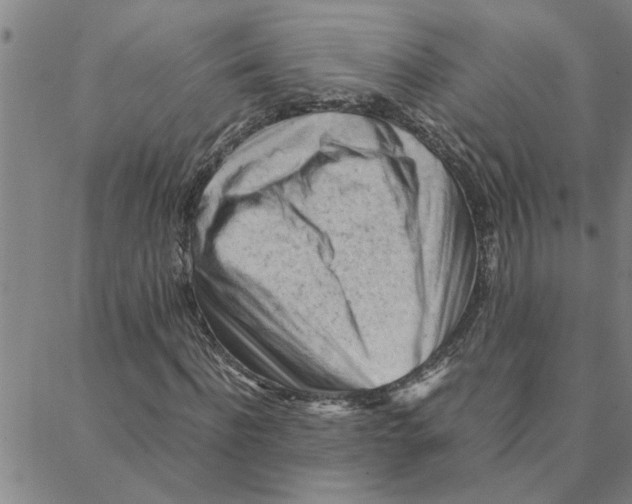 X0000088370916200706191239