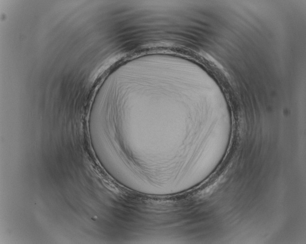 X0000088370921200706191239