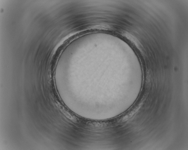 X0000088370923200706191239