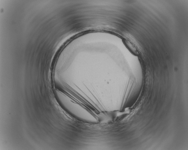 X0000088370932200706191239