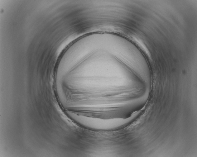 X0000088370944200706191240
