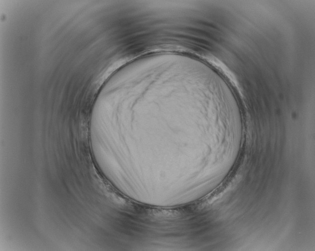 X0000088370945200706191240